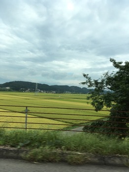image-6d06c.jpeg